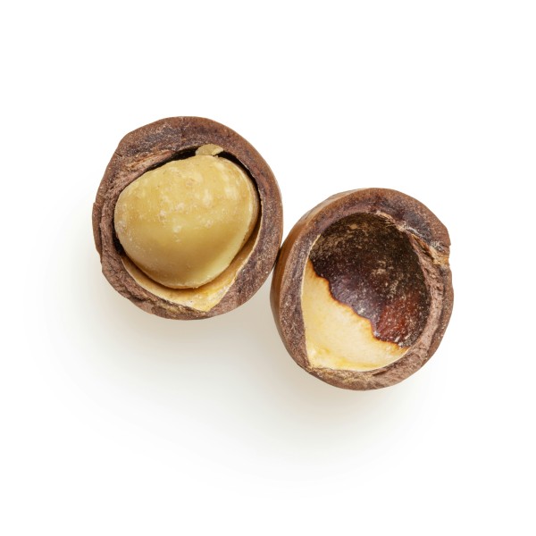 Macadamia nut