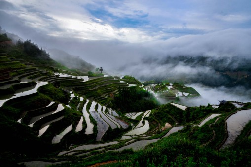 Guizhou