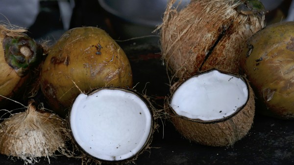 Coconut water