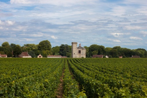 Bourgogne-Franche-Comte