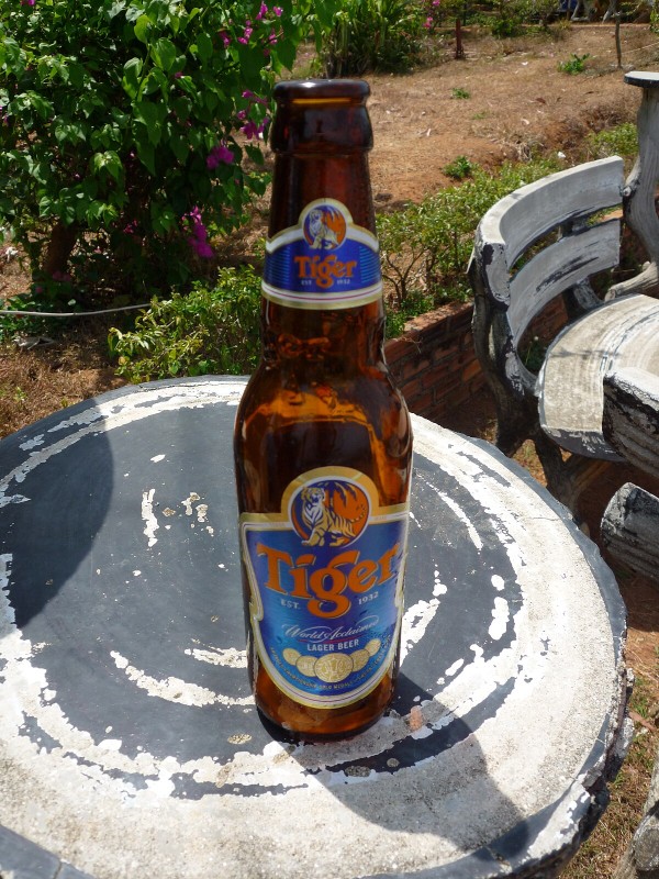 Tiger beer