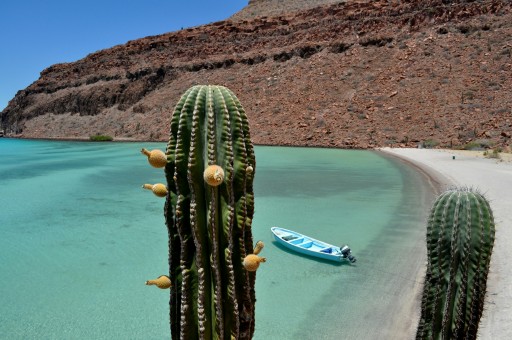 El Norte (Baja, Sonora, Chihuahua, Coahuila, Durango, Zacatecas, Aquascalientes, Nuevo Leon, Tamaulipas)