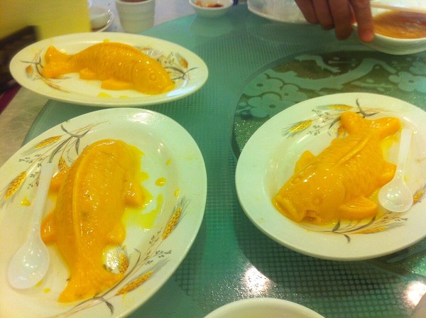 Mango pudding