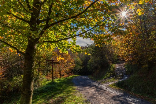 Basque Country