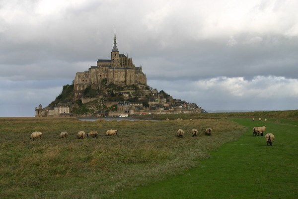 Prés-salés du Mont-Saint-Michel