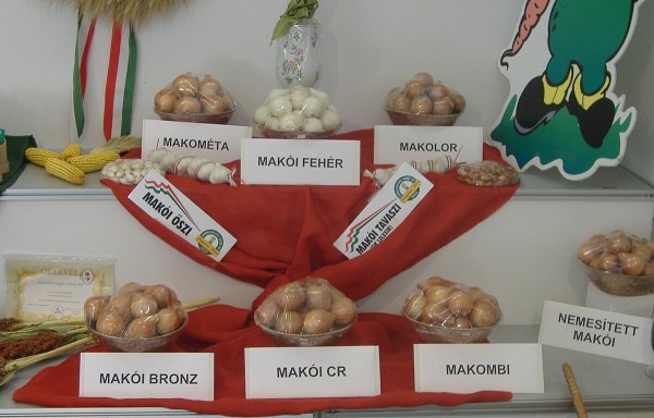 Makó onions