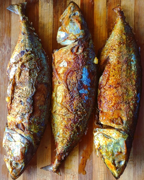 Mackerel fry