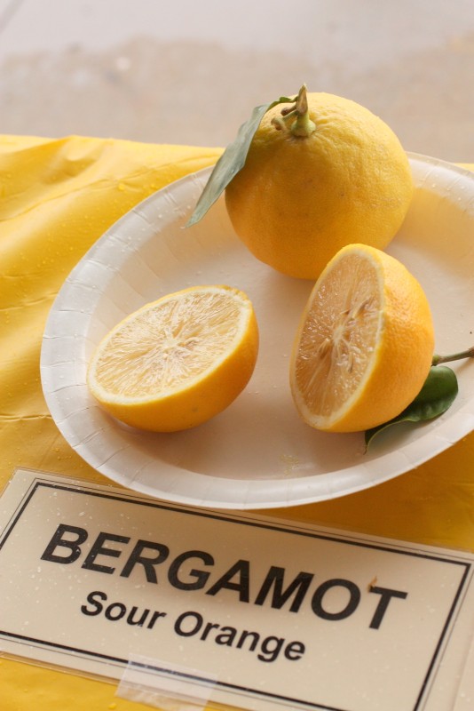 Bergamotto