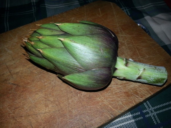 Carciofo Spinoso di Sardegna