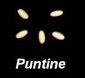 Puntine