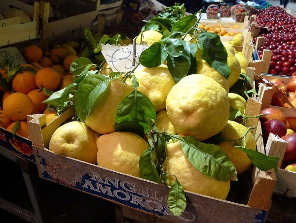 Limone di Sorrento