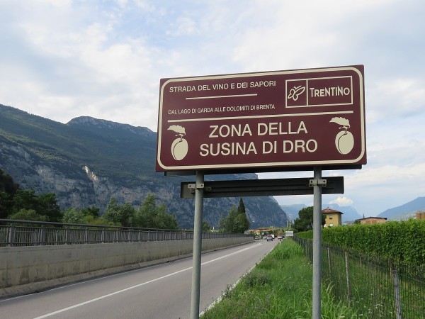 Susina di Dro