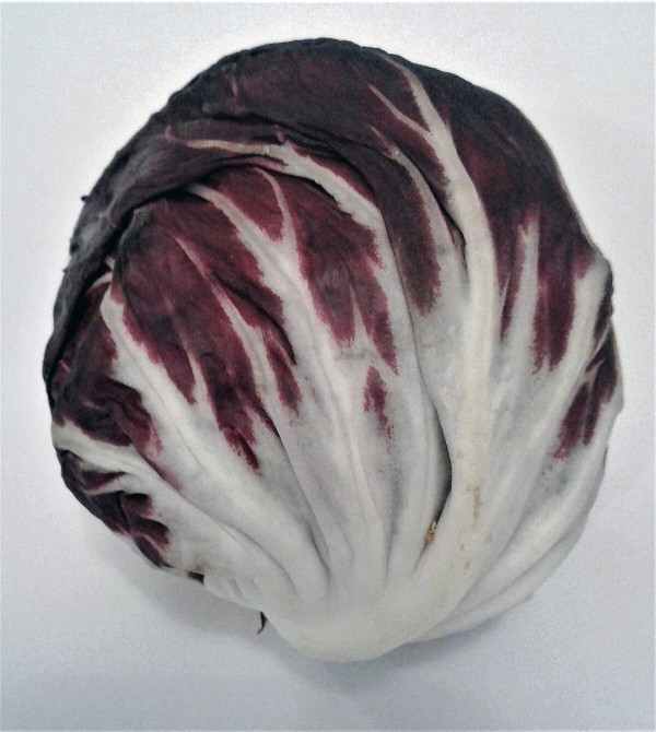 Radicchio di Chioggia