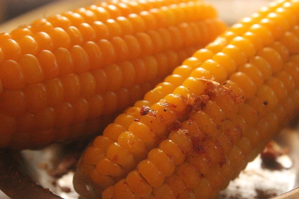 Boiled corn