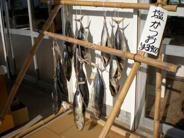 Shio-katsuo