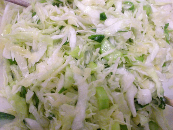 Ensalada de col