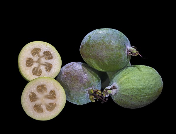 Feijoa