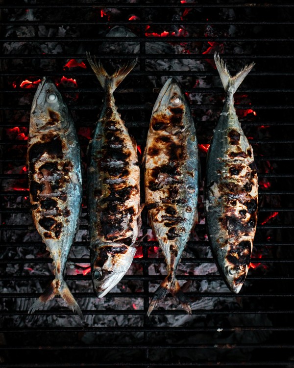 Grilled fish