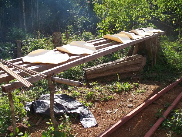 Taro bread