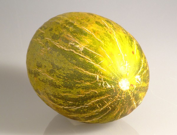 Melón de la Mancha