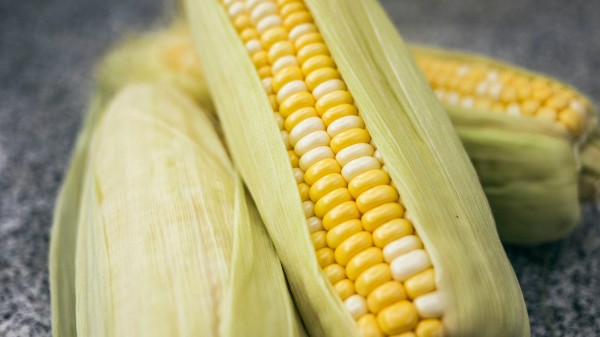 Corn