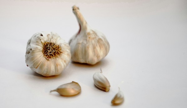 Garlic