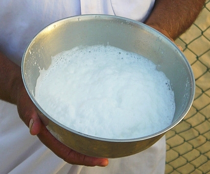 Camel milk