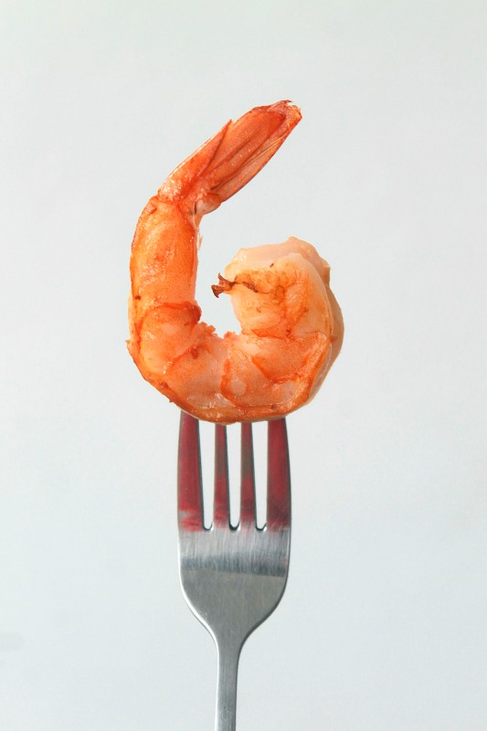 Morecambe Bay shrimp