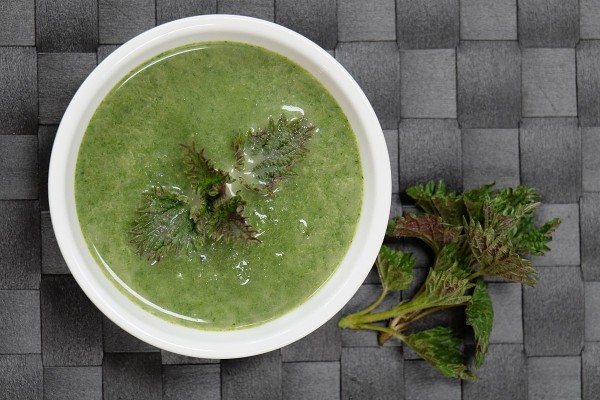 Nettle soup