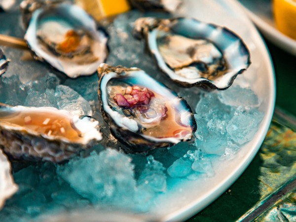 Herm oysters