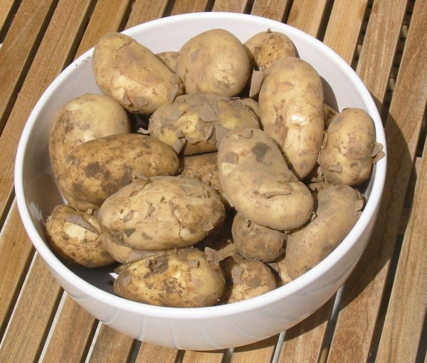 Jersey Royal Potatoes