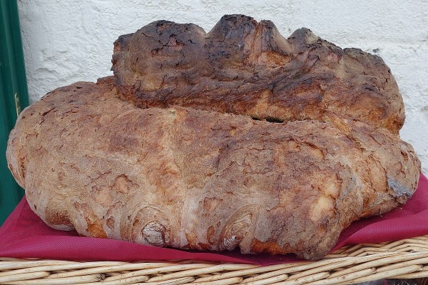 Pane di Matera