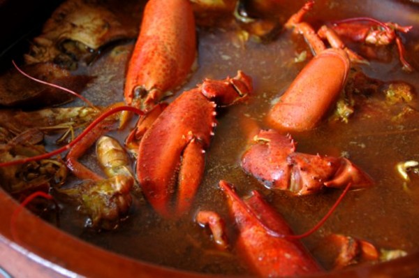 Lobster stew