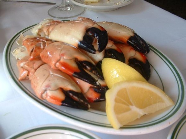 Stone crab