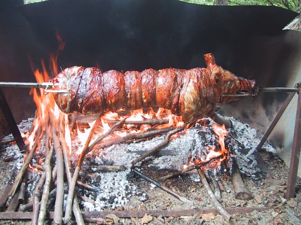 Spit-roasted suckling pig